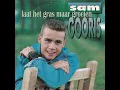 Laat Het Gras Maar Groeien