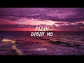 Lagu ZAHEEN - PALIH BININ MU (COVER)