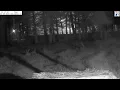 Download Lagu Záchranná stanice živočichů Makov - hnízdění čápů