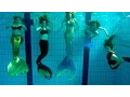 Download Lagu Seven Mermaids Meet | Mermaid Tails in Pool | Stella the Siren