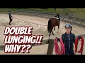 Download Lagu DOUBLE LUNGING! WHY IS IT DONE? - (Thoroughbred Horses) OTTB Series