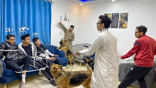 لما النتيجه تظهر وابوك يعرف انك شايل ملاحق السلسيلي باسم اوتاكا محمد عماد 