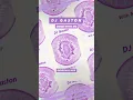 Download Lagu VIDEO STORY DJ Gaston   Come With Me Original Mix MP4