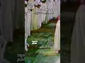 Download Lagu Shk AlSudais makes a mistake when he recites from Surat Saba and opens to him the imam of the imams
