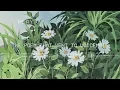 Download Lagu paper latte - the poem that went to voicemail