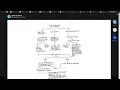 Flow Charing Your CYOA Stories