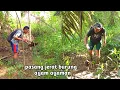Download Lagu Pasang dan cek jerat burung ayam ayaman, hasilnya mantap 👍👍