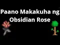 Paano Makakuha ng Obsidian Rose sa Terraria - Saan at Paano Hanapin