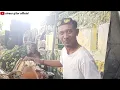Download Lagu BANGBUNG HIDEUNG MEDLEY || PONGDUT BAJIDOR || DADAN GIBRIG || LIVE CISUGAN