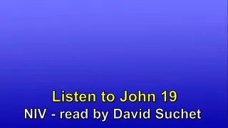 Reading John 19 NIV by David Suchet