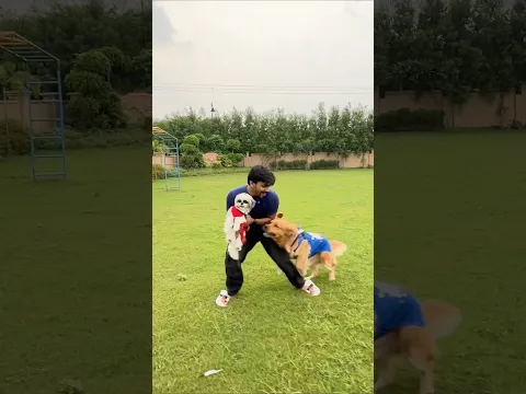 Reo ka Attack😲 #shorts | Anant Rastogi