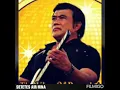 Download Lagu RHOMA IRAMA - SETETES AIR HINA