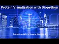 How to Visualize Proteins using NGL Viewer in Jupyter Notebook An Application of Biopython