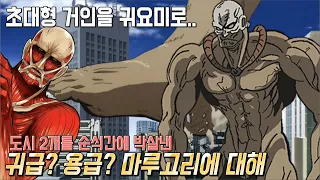 원펀맨 옆동네 초대형 거인보다 4배 큰 용급 괴인 마루고리에 대해 