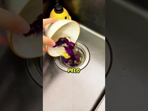 NÃO COLOQUE SUA COMIDA NO RALO! #curiosidades