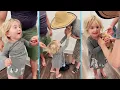 New Kitten Surprise Compilation 2026 These Kittens Heal You