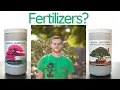 How to apply fertilizer to your Bonsai Tree The Bonsai Supply