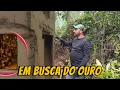 Fomos em busca do ouro escondido na floresta 