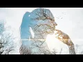 Download Lagu Sergey Grischuk - My Angel [piano music] vídeo
