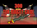 NEW 300 TOA BUDGET GUIDE (OSRS)