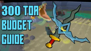 NEW 300 TOA BUDGET GUIDE OSRS 