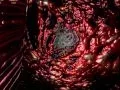 FPS Creator x9 Full Shaders