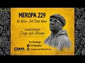 Ceega - Meropa 229 (No Noise, Just Deep House)