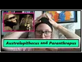 Australopithecus and Paranthropus