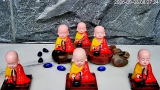 🔴Little Monk Wooden Fish 🪷 | Zen Meditation | Peaceful Real-Life Scenery - LIVE  Webcam