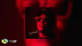 echo deep ngithwele official audio