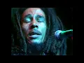 Bob Marley & The Wailers - Them Belly Full (But We Hungry)