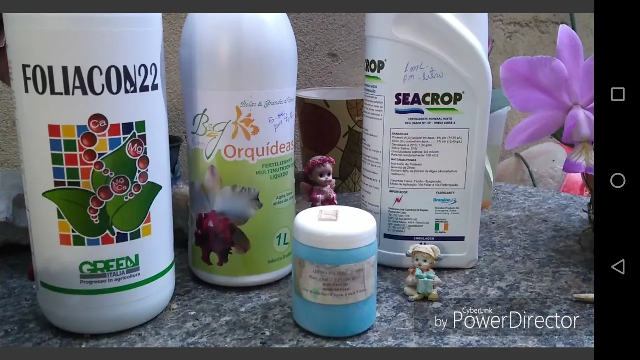 ADUBAÇÃO PARA ORQUÍDEA COM SEACROP E CÁLCIO E BEG E PITER