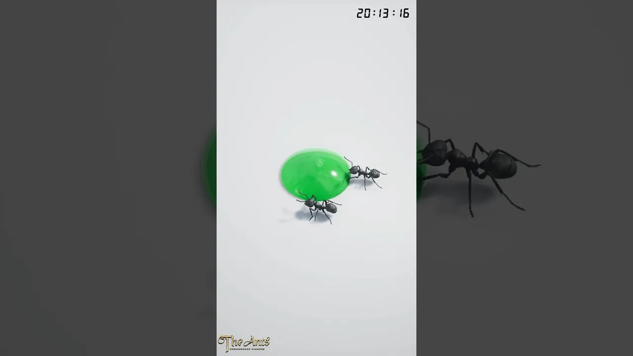 #luckygameplay