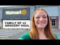 FAMILY OF 12 GROCERY HAUL