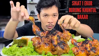 SIKAT BURUNG KHUNTUL BAKAR 1 EKOR UTUH