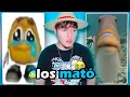 Download Lagu MI PAPÁ MATÓ LOS PECES DE SU AMIGO... 🐟😭