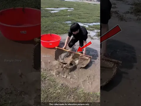 The man pulled several walking catfish out of the muddy water of the lake |#shortvideo