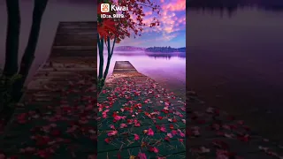 انت العالم بالحال يارب 