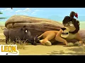 Download Lagu Leon The Lion | Fun With Wacky Friends | Funny Animal Cartoon