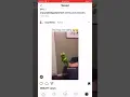 Kermit commits suicide