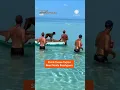 Hammerhead Shark Chases Tarpon Feet Away From Beachgoers
