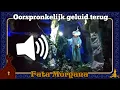 Download Lagu [#Efteling] Fata Morgana - Oorspronkelijke geluid eerste Tovenaar terug (2025)