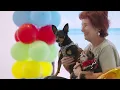 Dogust Celebration at Lexus of Thousand Oaks