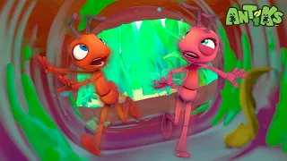 The Great Cave Escape Story! 🐜 Antiks Storytime!