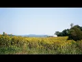 A day with chef Dan Gleason of Sumac
