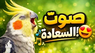 فيديو كافي لجعل الكوكتيل يغرد                                        دندنها