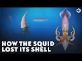 How the Squid Lost Its Shell