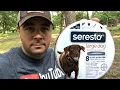 The Best Flea and Tick Control Seresto Collars