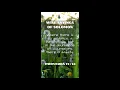 Proverbs 11 14 Wise Sayings of Solomon