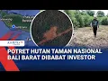Lagu Potret Hutan Taman Nasional Bali Barat Dibabat Investor